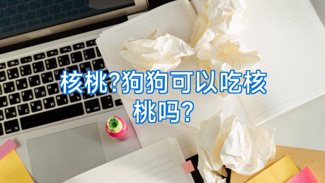核桃?狗狗可以吃核桃吗?
