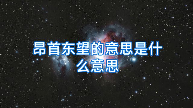 昂首东望的意思是什么意思