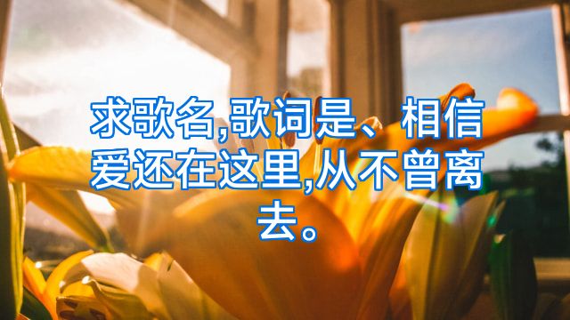 求歌名,歌词是、相信爱还在这里,从不曾离去。