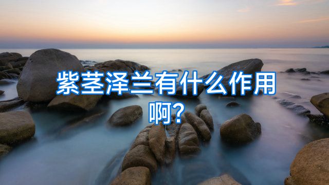 紫茎泽兰有什么作用啊?