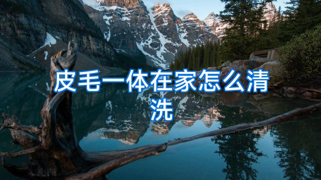 皮毛一体在家怎么清洗