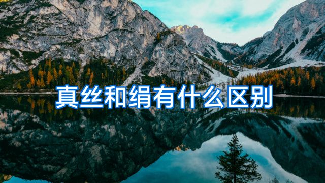 真丝和绢有什么区别