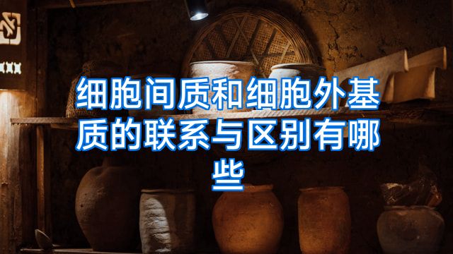 细胞间质和细胞外基质的联系与区别有哪些
