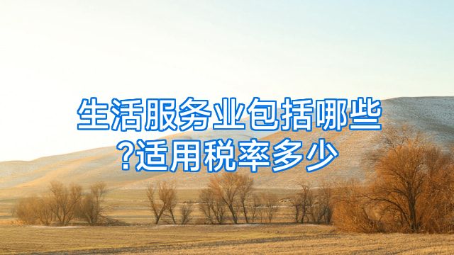 生活服务业包括哪些?适用税率多少