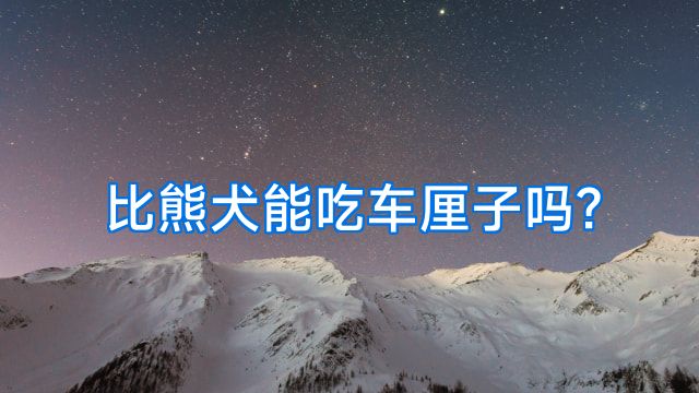 比熊犬能吃车厘子吗?