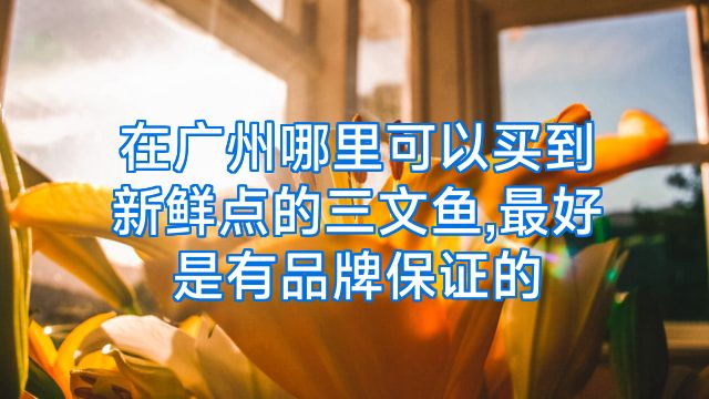 在广州哪里可以买到新鲜点的三文鱼,最好是有品牌保证的