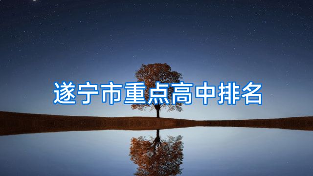 遂宁市重点高中排名