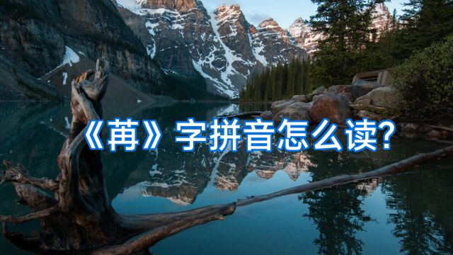 《苒》字拼音怎么读?