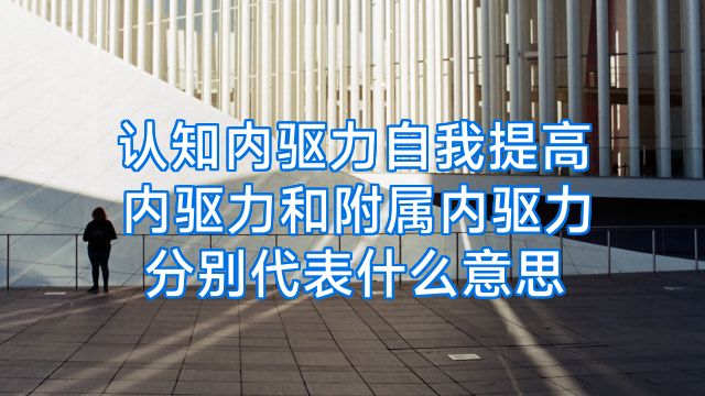 认知内驱力自我提高内驱力和附属内驱力分别代表什么意思
