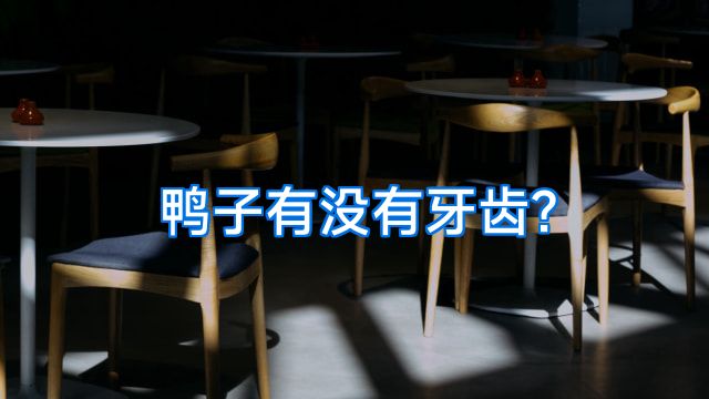 鸭子有没有牙齿?