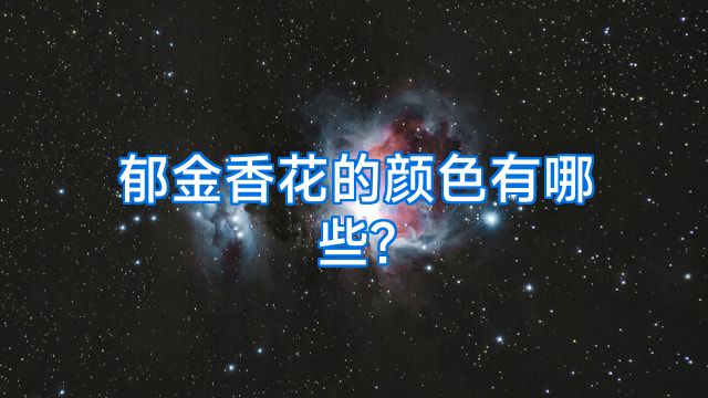 郁金香花的颜色有哪些?