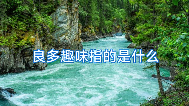 良多趣味指的是什么