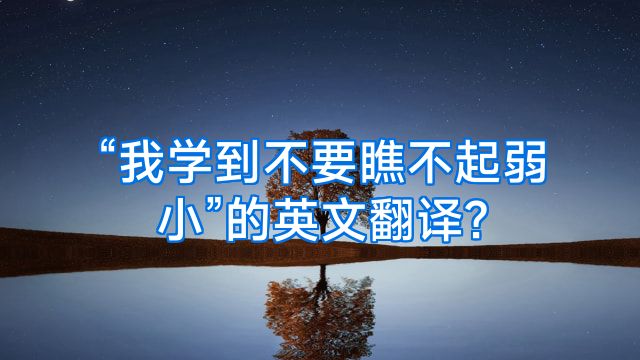 “我学到不要瞧不起弱小”的英文翻译?