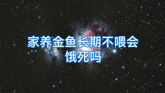 家养金鱼长期不喂会饿死吗