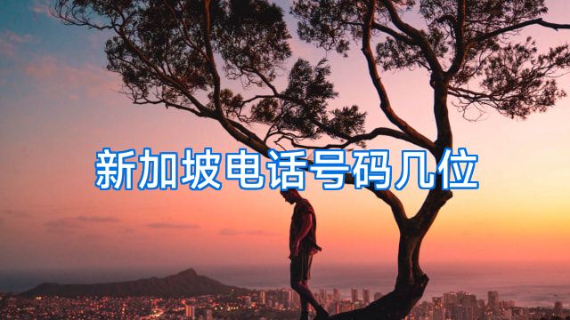 新加坡电话号码几位