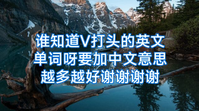 谁知道V打头的英文单词呀要加中文意思越多越好谢谢谢谢