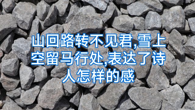 山回路转不见君,雪上空留马行处,表达了诗人怎样的感