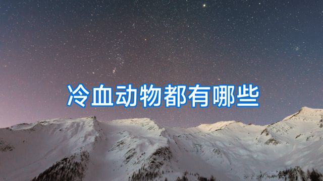 冷血动物都有哪些