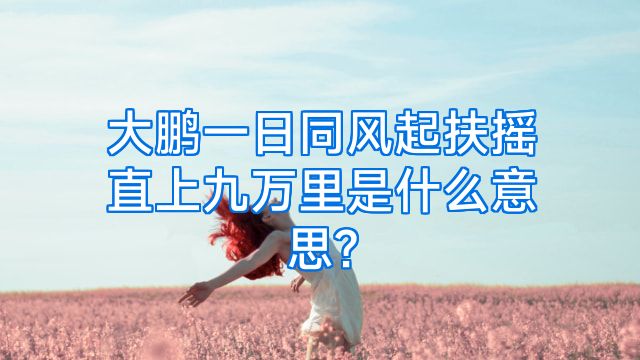 大鹏一日同风起扶摇直上九万里是什么意思?