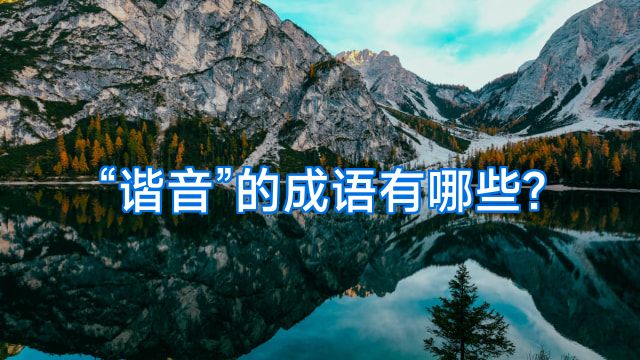 “谐音”的成语有哪些?