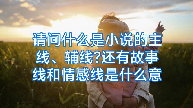 请问什么是小说的主线、辅线?还有故事线和情感线是什么意