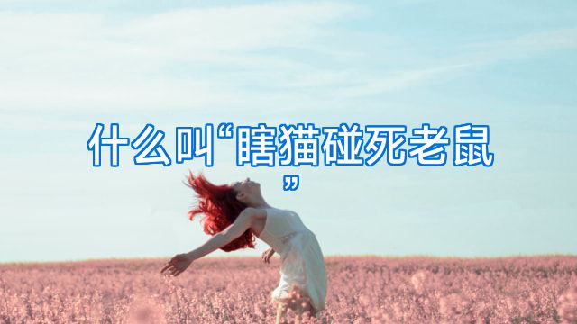 什么叫“瞎猫碰死老鼠”