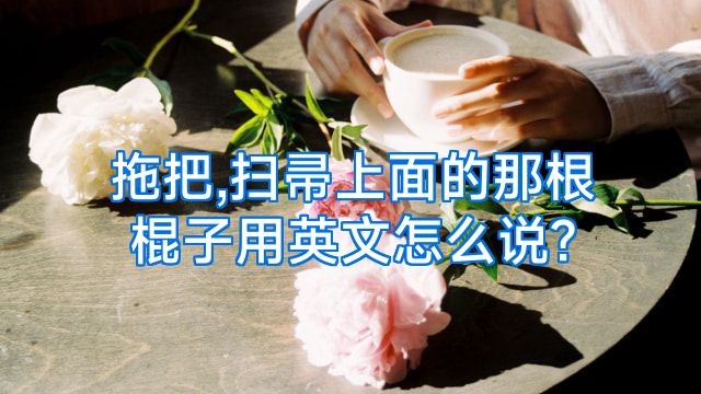 拖把,扫帚上面的那根棍子用英文怎么说?