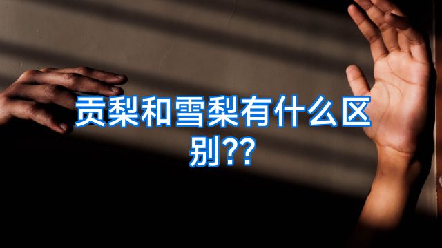 贡梨和雪梨有什么区别??