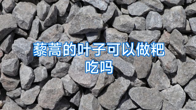 藜蒿的叶子可以做粑吃吗