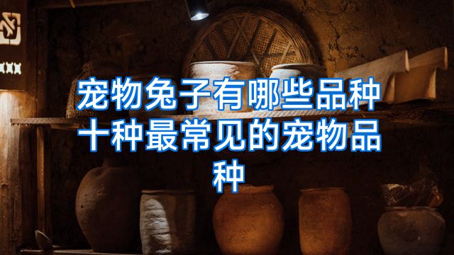 宠物兔子有哪些品种十种最常见的宠物品种