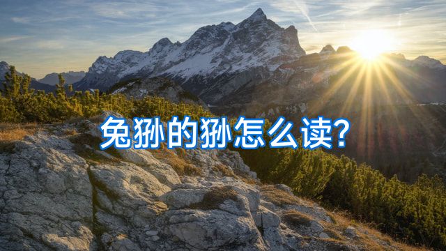 兔狲的狲怎么读?