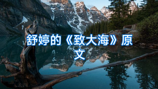 舒婷的《致大海》原文