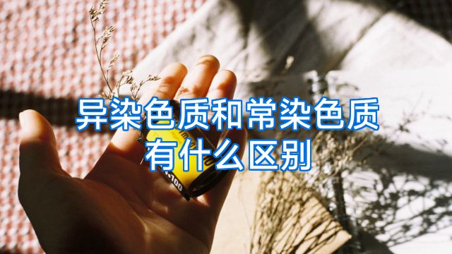 异染色质和常染色质有什么区别