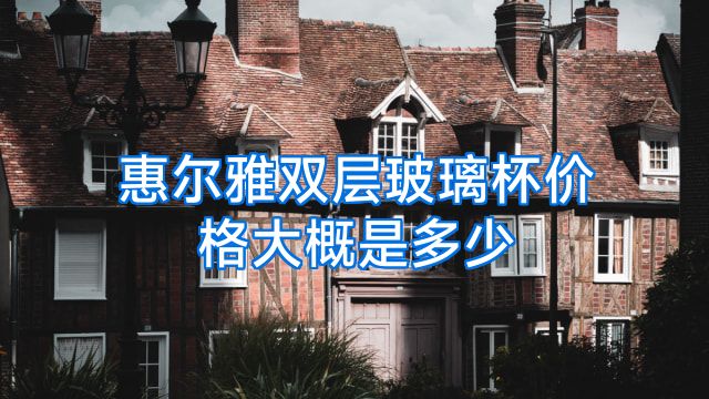 惠尔雅双层玻璃杯价格大概是多少