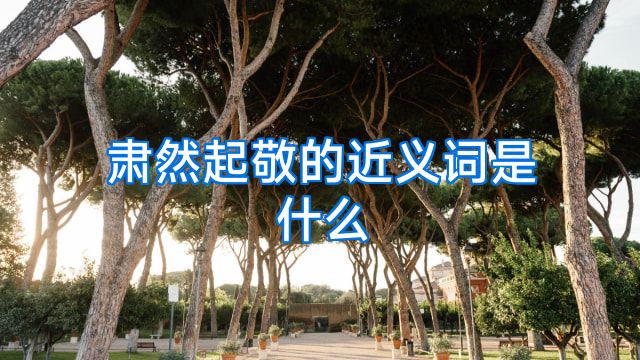 肃然起敬的近义词是什么