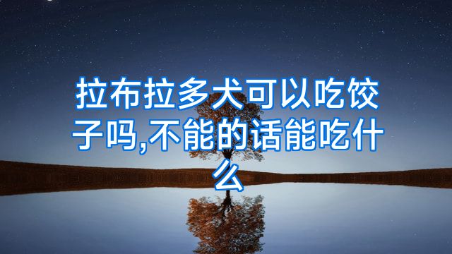 拉布拉多犬可以吃饺子吗,不能的话能吃什么