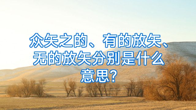 众矢之的、有的放矢、无的放矢分别是什么意思?