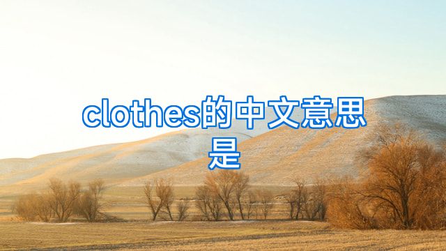 clothes的中文意思是