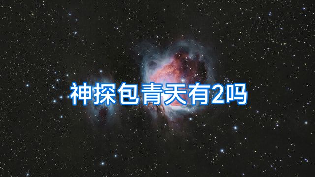 神探包青天有2吗