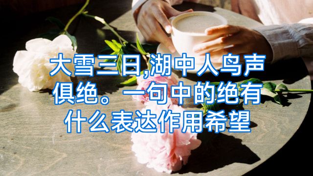 大雪三日,湖中人鸟声俱绝。一句中的绝有什么表达作用希望