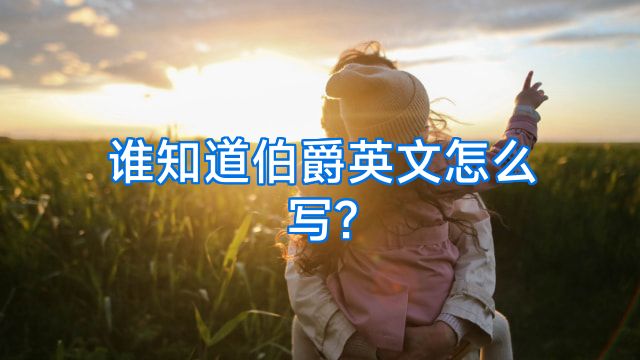 谁知道伯爵英文怎么写?
