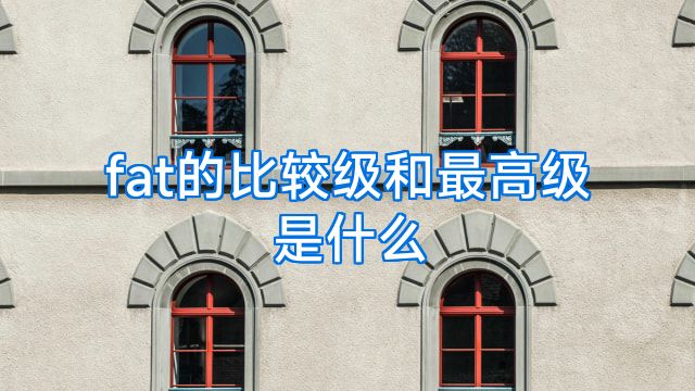 fat的比较级和最高级是什么