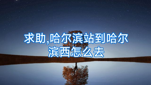 求助,哈尔滨站到哈尔滨西怎么去