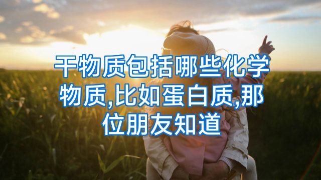 干物质包括哪些化学物质,比如蛋白质,那位朋友知道