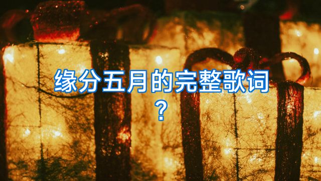 缘分五月的完整歌词?