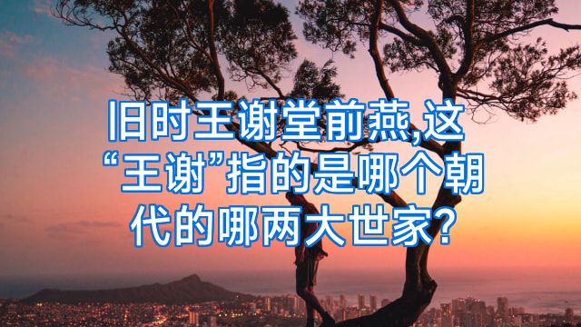旧时王谢堂前燕,这“王谢”指的是哪个朝代的哪两大世家?