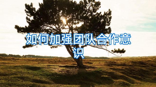 如何加强团队合作意识
