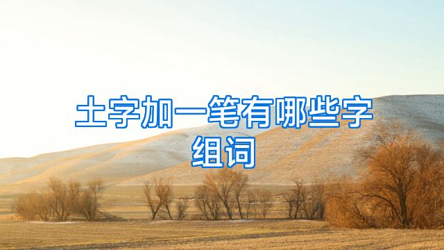 土字加一笔有哪些字组词