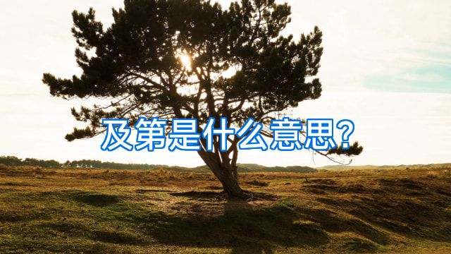 及第是什么意思?