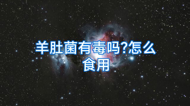 羊肚菌有毒吗?怎么食用